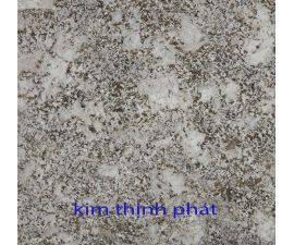 Đá hoa cương granite mac ma F306 Đá hoa cương granite mac ma F306